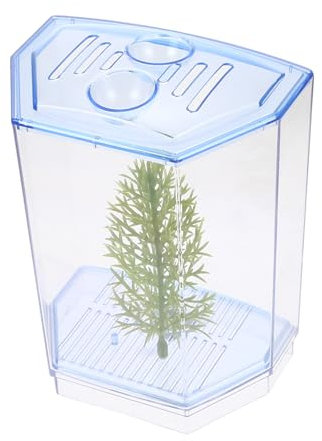 CORHAD Mini Fisch Tank Für Kleine Fische Transparentes Terrarium Für Home Office Und Dekoration Einfach Zu Reinigen Lagern Zuchtbox Für Fisch Geeignet