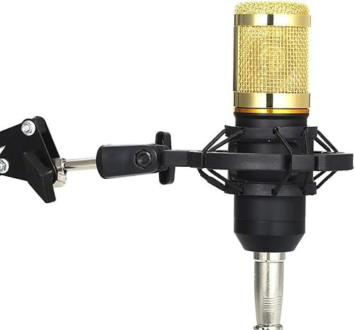 MtLavishishishishing BM800 Microfono a sospensione professionale offre un'elevata sensibilità di auto -rumore eccezionalmente bassa per la trasmissione di registrazione in studio