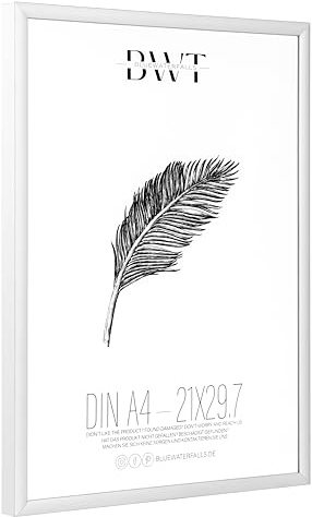 Bluewaterfalls Trading 1x Aluminium Bilderrahmen DIN A4 | Bilderrahmen 21x29,7 cm (DIN A4) mit bruchsicherem Glas, Alu (Silber)