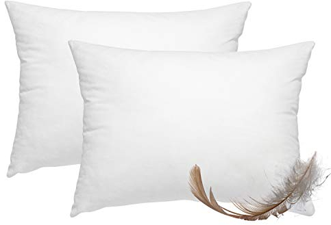 wometo 2er Set Federkissen 100% Federn 30x50-330g Oeko-TEX Sofakissen Füllkissen Bezug Baumwolle weiß/Innenkissen/Kissenfüllung/kleine Kopfkissen (2 Stück)