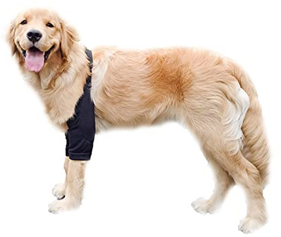 BT Bear Traje de recuperación de codo de pierna delantera para perro, protección de rodilla para perro, protector de heridas antilamer para perros medianos y grandes (negro, XXL)