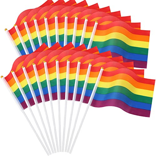 JUNEBRUSHS Pride Flag, Pack of 20 Rainbow Flags 14 × 21 cm Mini Handheld Gay Rainbow LGBTQ Flag Bag Lesbian Flags Parade Waving Small Party Decorations