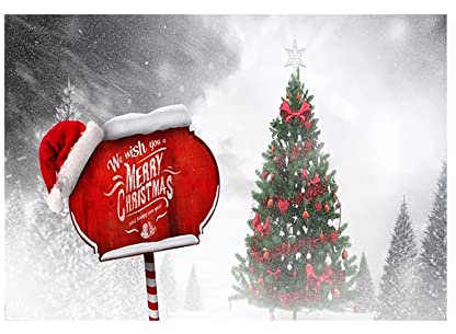 AKTOUR Tovaglia per eventi, striscione per porta del garage, telo da appendere per esterni, grande, decorazione per feste per bambini 8-12 anni (B, taglia unica)