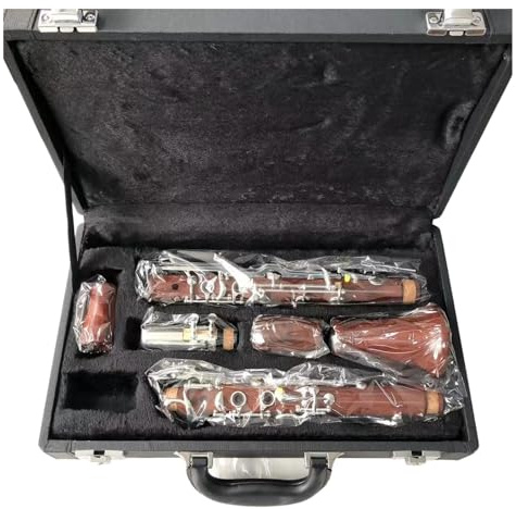Korpus Aus Palisanderrohr Versilberte Tasten G-Ton-Klarinette Holzblasinstrument Mit Koffer Klarinettenset