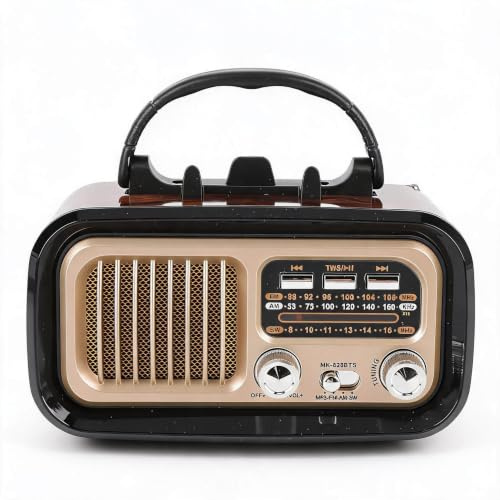 Retro Vintage Radio mit Bluetooth Lautsprecher, Tragbarer Kleiner Vintage AM FM Radio, Solar Batterie Betrieben wiederaufladbar, TWS, Support TF Card USB Spiele für Home (Black)