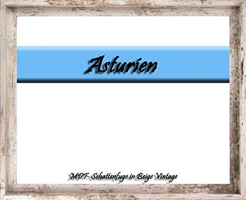 MDF-Leerrahmen ASTURIEN speziell für Leinwandbilder BZW. Keilrahmenbilder im Format 23 x 50 cm. Schattenfugenrahmen in der Farbe: Beige Vintage. 10 Farben zur Auswahl