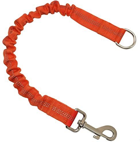 BTINESFUL Extension de laisse élastique pour chien, 45,7 cm, fonctionne avec n'importe quelle laisse pour la marche, le jogging, l'entraînement, le jeu