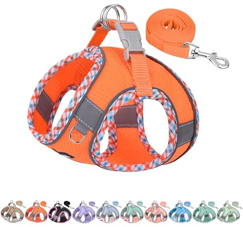 AIITLE Hundegeschirr No Choke Over, einstellbares Hundegeschirr mit Leine, atmungsaktivem Mesh und Schnellverschluss - Outdoor Walking, Training für mittlere Hunde Orange L