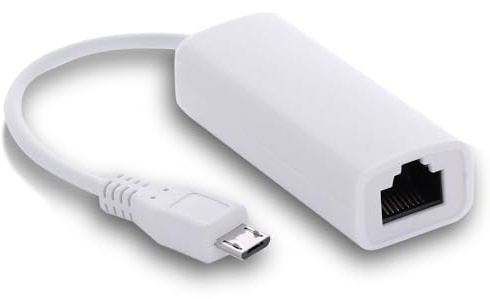 REY Adaptateur Micro USB mâle vers Ethernet RJ45, Carte réseau 10/100Mb