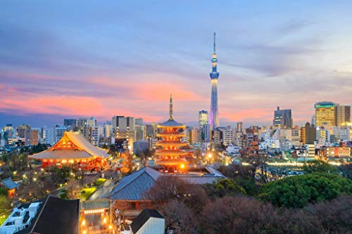 Tokyo Skytree Tokyo Japan City Skyline Illuminated At Sunset Photo Beach Palm Landscape Pictures Ocean Scenic Scenery Tropical Nature Photography Paradise Cool Wall Art Print Poster 36x24