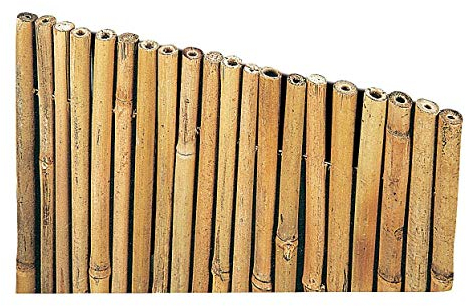 Arella Canniccio in Bamboo con canne spesse 10-30mm copertura da giardino | Canna Passante Frangivista ombra | Stuoia Cannucciata Frangisole | Recinzione ombra in bambù esterno | Dimensioni 150x300 cm