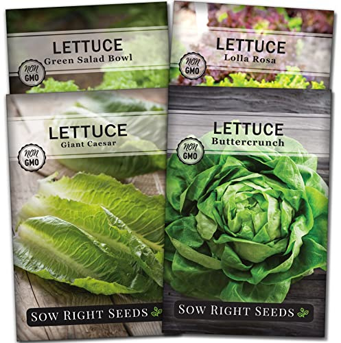 Sow Right Seeds - Lettuce Seed Collection for Planting Vegetable Garden