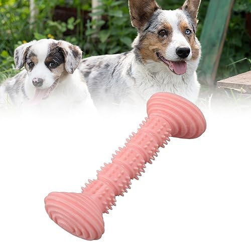 Qcwwy Hunde-Kauspielzeug, Gummi-Hundespielzeug für Aggressive Kauer, Niedliche Knochenform, Zähne Reinigen und Schleifen, Weiches Zahnen-Kauspielzeug für Welpen, Gummi-Hundeknochen für