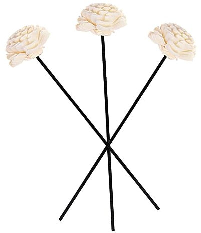 RORPOIR 3sets Robust Rattan Getrocknete Blume Wohnkultur Zubehör Duft 3 Stücke * 3