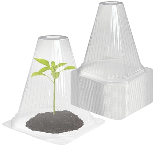 20 Stück Pflanzenhut, Pflanzenschutzhaube Transparent Hochbeet Abdeckung Kunststoff Pflanzhüte mit Lüftungsschlitze Schneckenschutz für Hochbeete Pflanzenhut Pflanzglocke für Obst Gemüse (Transparent)