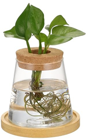 FONDOTIN Glass Hydroponic Propagation Vase with Lid and Bamboo Tray, Small Desktop Plant Holder for Indoor Rooting and Display, Glass Terrarium Container for Office and Home