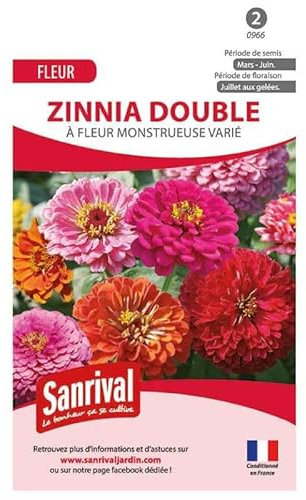 Graines de Zinnia Double varié