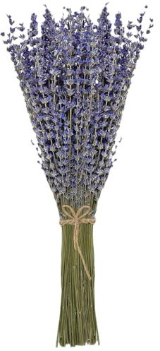 MHDAMAI Bouquet Sec de Lavande 100 tiges 42 cm de Longueur Fleurs de Lavande de Provence Bouquet Sec de Lavande Bouquet Sec de Fleurs séchées