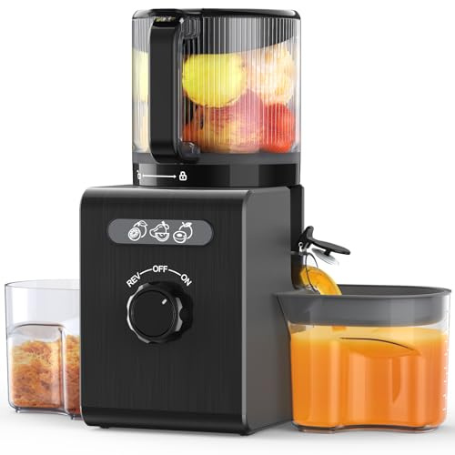 Cold Press Juicer Machines with 6.5 Large Feed Chute, Juicer for Whole Vegetables & Fruits, High Juice Yield (Black)