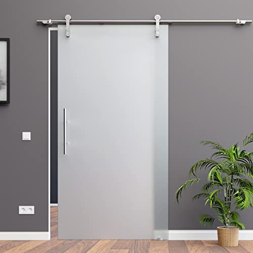 BS-A: Schiebetürsystem ESG 900x2050x8mm Dekor S, vollsatiniert; Edelstahl Laufrollensystem SoftStop Griffstange (900 x 2050 mm, Griffstange rund 420 mm Wandseite Flach)