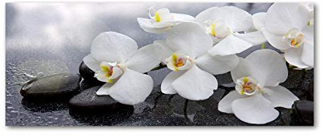 Tulup Glas-Bild Wandbild aus Glas - Wandkunst - Wandbild hinter gehärtetem Sicherheitsglas - Dekorative Wand für Küche & Wohnzimmer 125x50 - Blumen & Pflanzen - Orchidee - Weiß