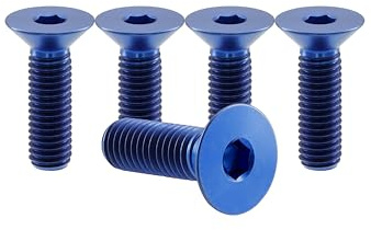 RISON-Titanium Senkkopfschrauben mit Innensechskant M4x0.7x12mm, Titan Senkkopf Schrauben Gewindeschrauben, Flachkopfschraube Maschinenschrauben Titanschraube für Fahrrad Motorrad MTB, 5 Stück