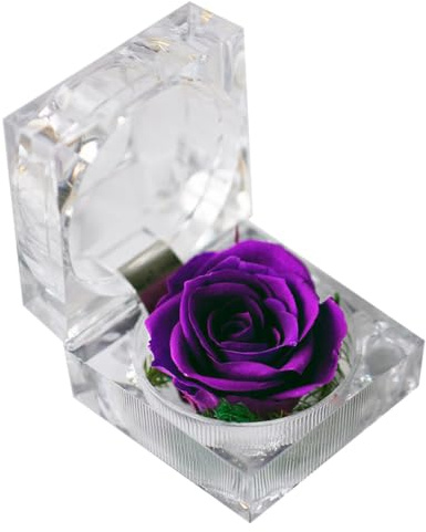 Gadpiparty Preserved Rose in Glass Dome - Eternal Purple Rose Gift with Elegant Box & Ribbon for Valentine'S Day, Anniversaries, Weddings, Home Decor