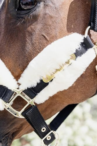 Kentucky Horsewear Nylon Schaffellhalfter Soft - Natur - Größe Cob