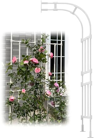 Arche de jardin en métal pour plantes grimpantes - Demi-arche en métal - Décoration extérieure résistante aux intempéries - Fixation murale - 240 cm x 267 cm - Blanc élégant