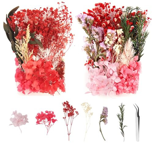 XIAQICA 2 Cajas Flores Secas para Velas Naturales Flores Secas para Resina Secas Decorativas para Manualidades para Aromaterapia con Velas de Bricolaje