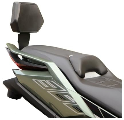 Respaldo Trasero Motocicleta Cojín de respaldo para asiento trasero motocicleta para ZONTES 368G 368 G 368-G, almohadilla protección para el, accesorios