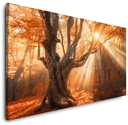 Magischer alter Baum 120x 60cm Panorama Leinwand Bild XXL Format Wandbilder Wohnzimmer Wohnung Deko Kunstdrucke