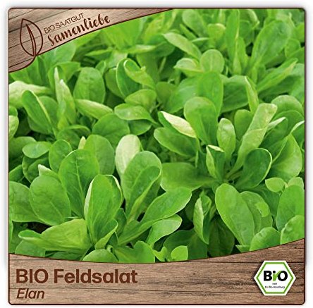 Samenliebe BIO Feldsalat Samen alte Sorte Elan nussiger Winterfeldsalat kompakter Salat grün 1,5g samenfestes Gemüse Saatgut für Gewächshaus Freiland und Balkon BIO Gemüsesamen winterhart