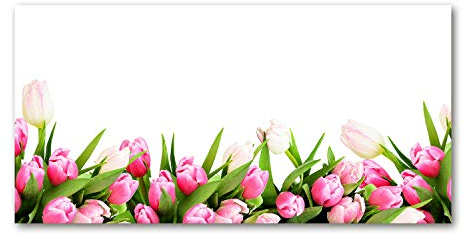 Tulup Picture Wall Art 100x50cm Image Printed Acryl Decorative Wall Picture Plastic/Acrylic Glass for Kitchen & Living Room Pink tulips
