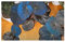 Pcs - 10x Begonia Xanthina Fleurs Jardin Plantes - Graines ID339 - Seeds & Plants Shop by Ipsa