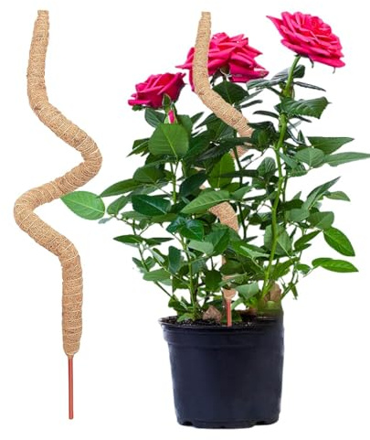Pflanzen Moospfahl - Kokosnuss Pfähle Pflanzenkäfige, Kletterpfahl Moos | Stock | Biegsame Climbing Palm Stick, biegsame wiederverwendbare Coir Radish Palm Reben Rahmen für Pflanzen, Creepers, Garten