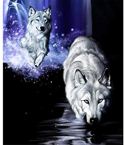 YINGXIN88 5D Diamant Painting Kits, Pack Runde Voll Drill Diamond Painting Zubehör Kristall Kreuzstich Kunst Handwerk für Hause WanddekorationZwei Wölfe im Wasser-30x30cm