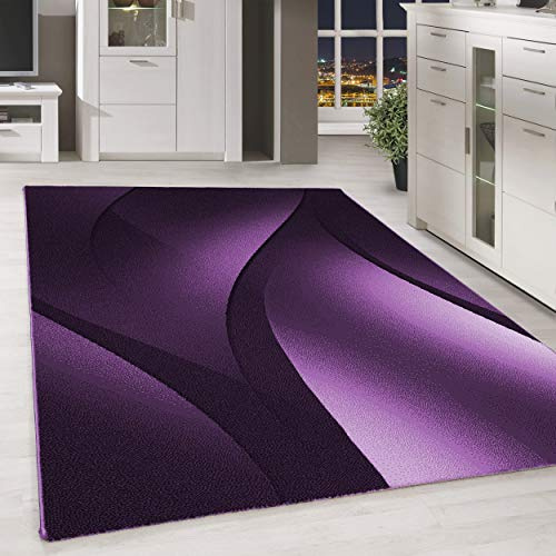 Carpettex Teppich Wohnzimmer Kurzflor 140 x 200 cm Lila Modern Ombre Design -Teppich Schlafzimmer Flauschig Extra Weich Waschbar Küchenteppich Teppich Esszimmer Kinderzimmer Wohnzimmerteppich