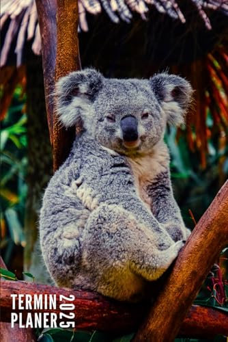 Terminplaner 2025: Koala - Taschenkalender | Wochenplaner, Terminkalender von Januar bis Dezember 2025 Ideal für Studenten, Berufstätige und ... Kontaktliste, Notizen - Klein Taschenformat