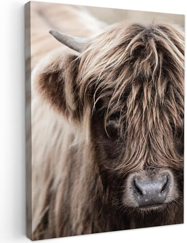 MuchoWow© Leinwand Bilder, Einzigartige Wanddeko mit Rahmen, Schottischer | 50x70 cm - Highlander - Tier - Hoorn, Wandbilder Wohnzimmer, Deko Schlafzimmer