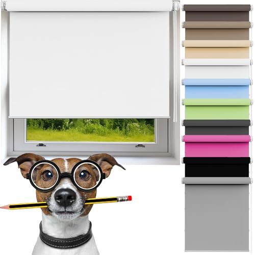 Fensterrollo Rollo 35 x 170 cm Sichtschutz Hitzeschutz Seitenzugrollo für Fenster Und Tür, Weiß