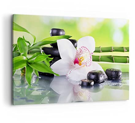 ARTTOR Leinwandbild 120x80cm Wandbilder Botanik Blumen - 3659