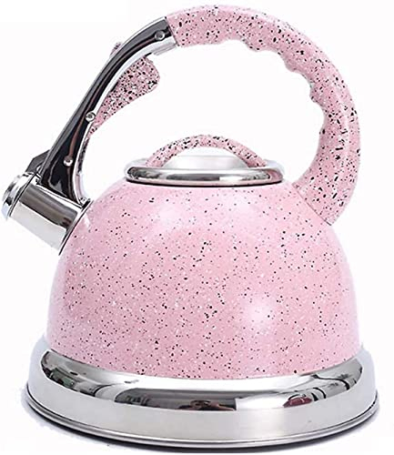 CAFIEDR Théière pour cuisinière Bouilloire sifflante de 3,5 L Bouilloire à Eau en Acier Inoxydable Théière pour cuisinière Bouilloire à thé instantanée Chauffe-Eau Bouilloires à thé