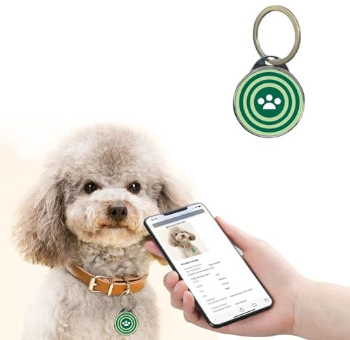 RexID Runde Smart-Erkennungsmarke, 5 Stück, QR-Code-ID-Tag mit Online-Profil und Besitzerkontakt, kann sofort gescannt werden, um sich wieder zu vereinen, 3,8 cm leicht und geräuschfrei für Hund und
