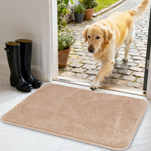 AUAUY Zerbino Trappola Sporco, 50 x 80cm Zerbino Asciugapassi per Interno | Tappeto Assorbi Acqua, Antiscivolo, Lavabile, per Cane, Ingresso, Porta e Corridoio, Casa e Ufficio, Beige