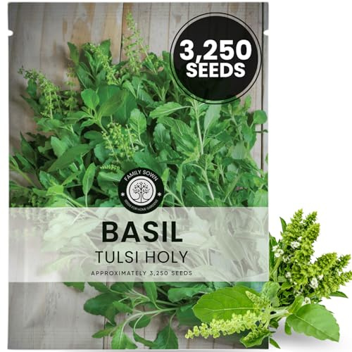 Tulsi Holy Basil – 3,250 Premium Seeds for Planting – Aromatic, Sacred, Vigorous Growth for The 2026 Season – 1 Gram Pouch