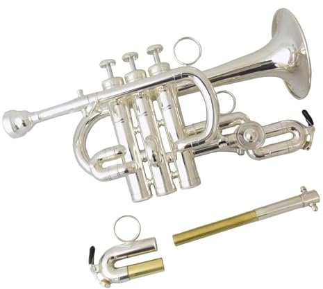 Standard Trompeten Set Musikinstrumente Piccolo-Trompete Bb/A Lackierter Gelber Messingkörper Mit Koffer(C)