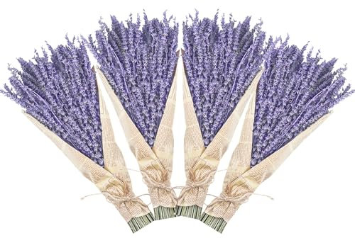 Dried Lavender Bundles, Uieke Natural Dried Lavender Flowers 280-300 Stems 16“ for Home Weeding Decoration Flower Arrangements Photo Props Home Fragrance 4 Bundles