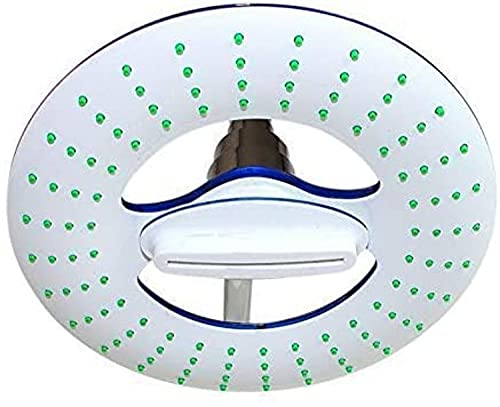 Duschbrause in weiß/grün. Durchmesser 20cm.