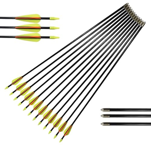 12 Stück Pfeile für Bogenschießen 30/28/26 Zoll Bogen Pfeil Übungspfeile Fiberglaspfeile für Anfänger Pfeil und Bogen Zielübung